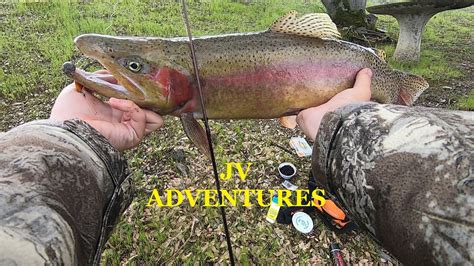 Suburban trout fishing can be tough. A change of spoon color.
